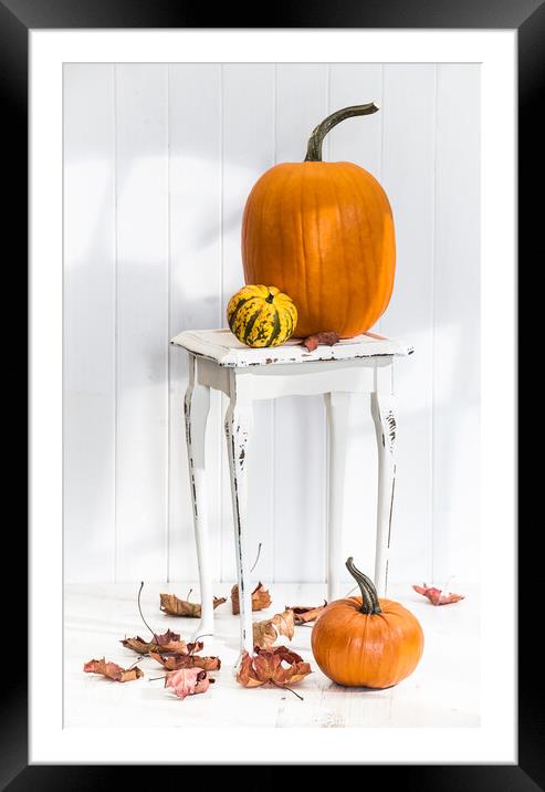 Autumn Table Framed Mounted Print by Amanda Elwell