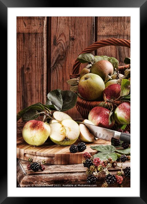 Rustic Apples Framed Mounted Print by Amanda Elwell
