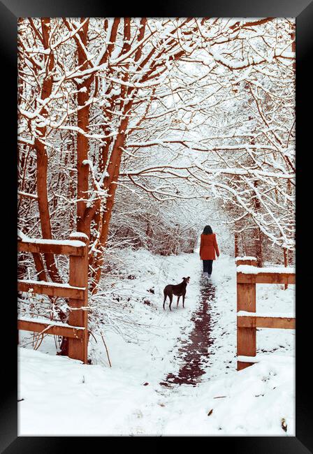 Woman Walking Dog Framed Print by Amanda Elwell