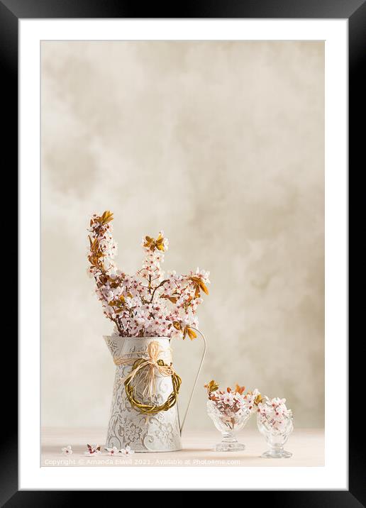 Spring Blossom Framed Mounted Print by Amanda Elwell