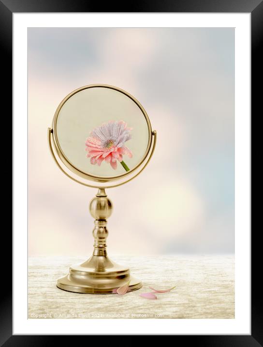 Fading Beauty Framed Mounted Print by Amanda Elwell