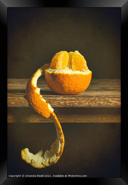 Single Orange Framed Print by Amanda Elwell