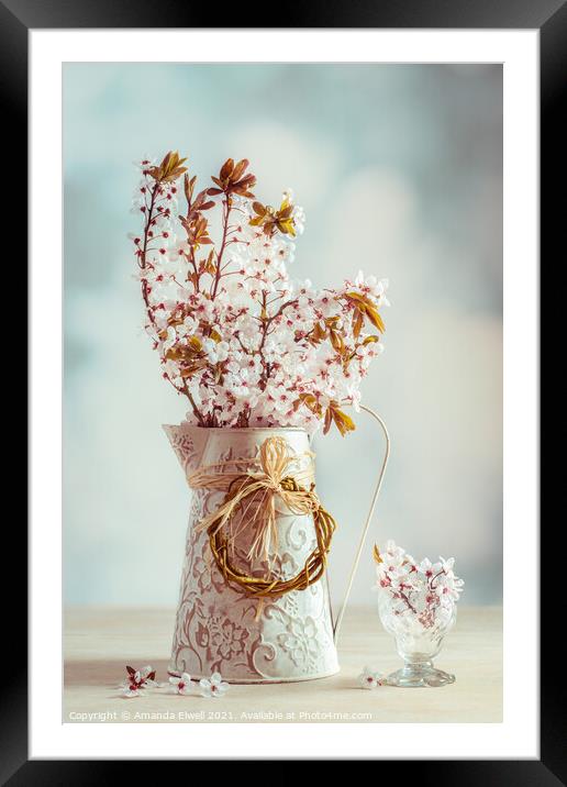Vintage Spring Blossom Framed Mounted Print by Amanda Elwell