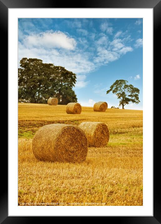 Hay Bales Framed Mounted Print by Amanda Elwell