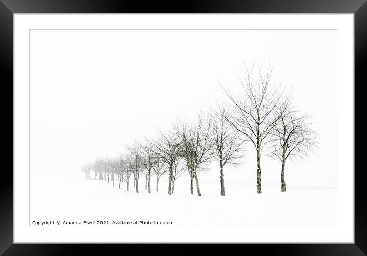 Tree Line In Snow Framed Mounted Print by Amanda Elwell