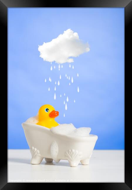 Duck Having A Bath Framed Print by Amanda Elwell