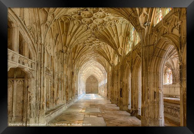 Gloucester Cathedral Cloisters Framed Print by Amanda Elwell