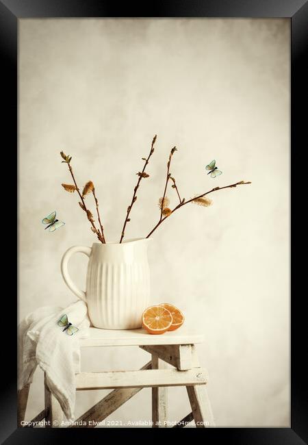 Springtime Still Life Framed Print by Amanda Elwell