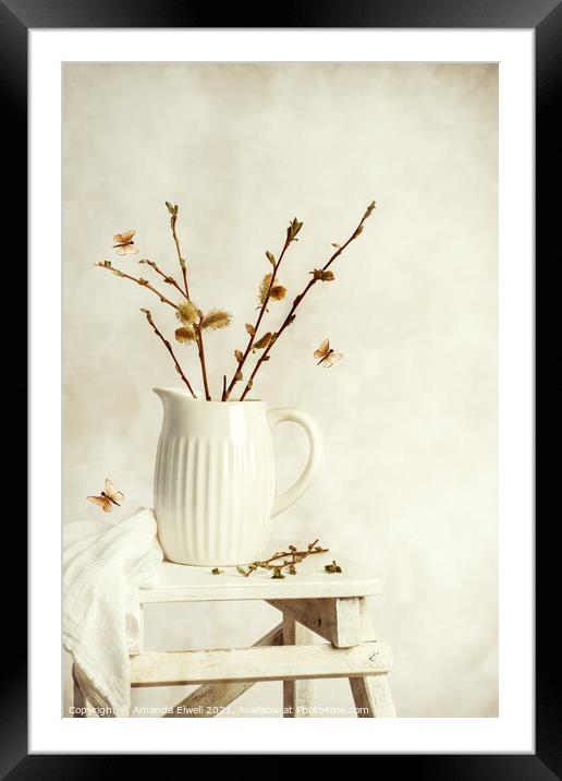 Springtime Still Life Framed Mounted Print by Amanda Elwell