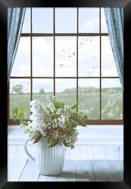 Country Window Framed Print by Amanda Elwell