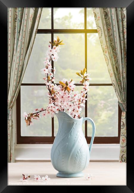 Vase Of Spring Blossom Framed Print by Amanda Elwell