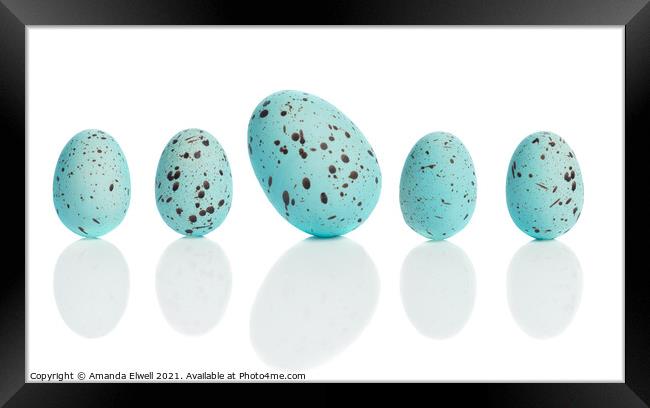 Row Of Eggs Framed Print by Amanda Elwell