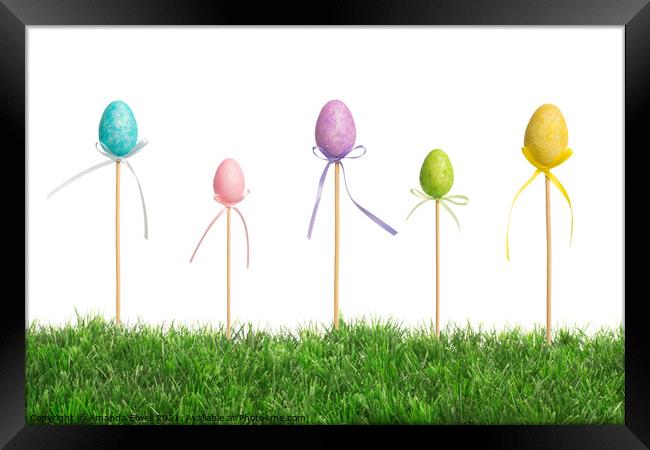 Easter Eggs In Grass Framed Print by Amanda Elwell