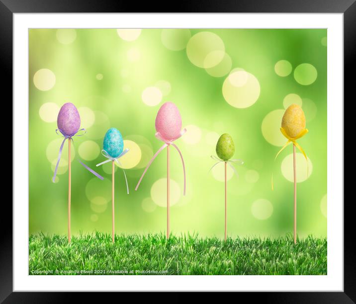 Easter Eggs Framed Mounted Print by Amanda Elwell