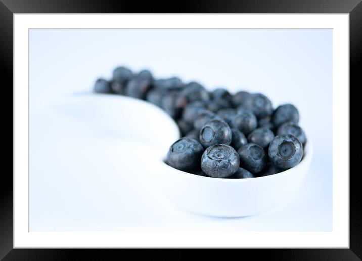 Dish Of Blueberries Framed Mounted Print by Amanda Elwell