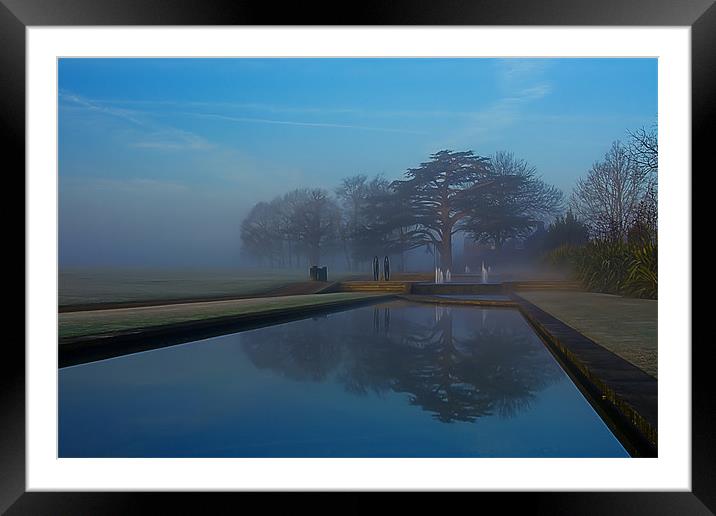The Misty Grove  Framed Mounted Print by Anthony Jacobson