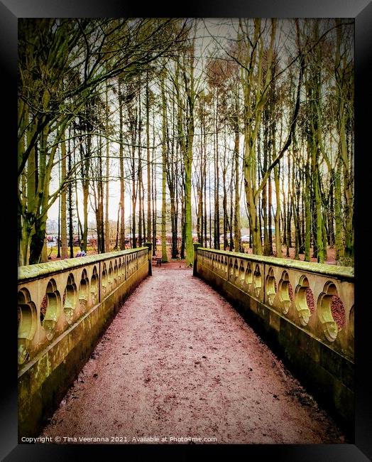 River Bridge leading to the woods Framed Print by Tina Veeranna