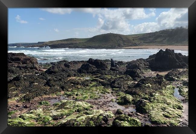 Rock pools at Coldingham Bay, Scotland  Framed Print by Melissa Theobald