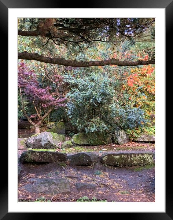 Autumn Colours at Calderstones Park Framed Mounted Print by Melissa Theobald
