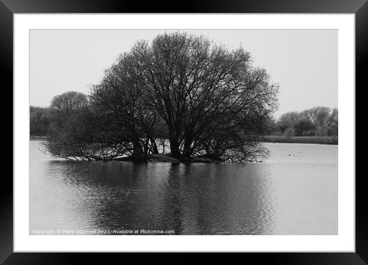 Tree in lake Framed Mounted Print by Mark ODonnell