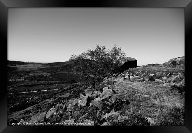 Lone Tree in the Roaches Framed Print by Mark ODonnell