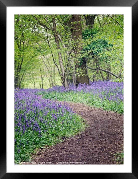 A Winding Path Through St Vincents Bluebell Wood I Framed Mounted Print by Peter Greenway