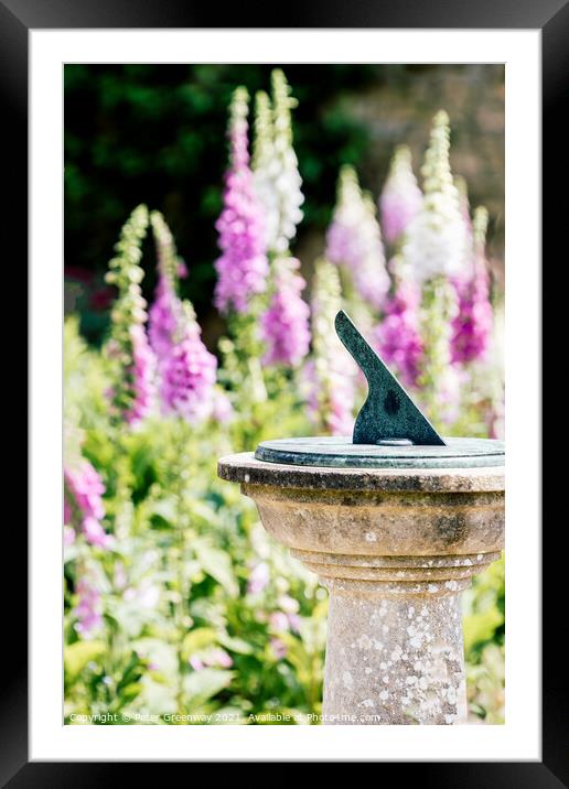 Foxgloves ( Digitalis ) In The Walled Flower Garden At Rousham H Framed Mounted Print by Peter Greenway