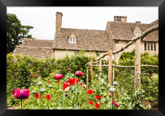 Poppies Growing In The Kitchen Gardens At Cogges Manor Farm, Oxfordshire Framed Print by Peter Greenway