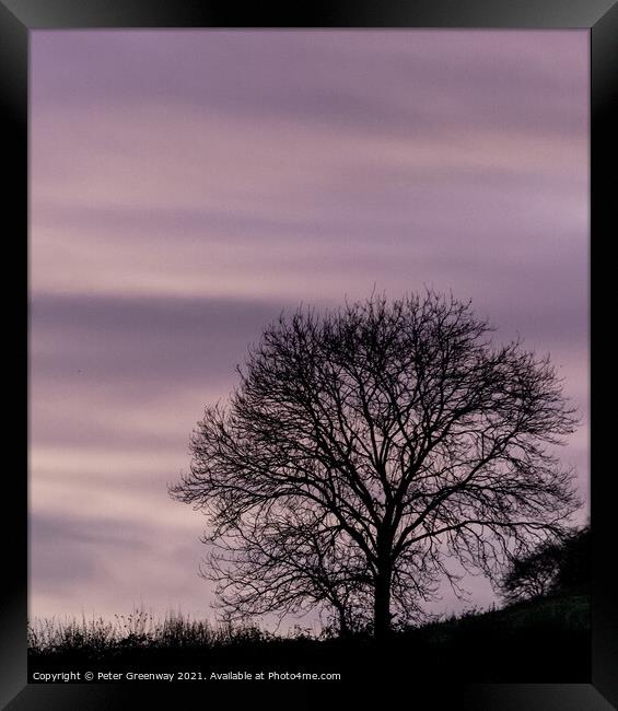The Silhouette Of A Lone Bare During Winter In Rural Oxfordshire Framed Print by Peter Greenway