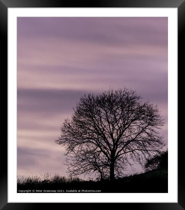The Silhouette Of A Lone Bare During Winter In Rural Oxfordshire Framed Mounted Print by Peter Greenway