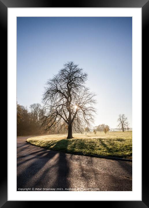 Bare Tree On The Waddesdon Manor Estate On A Misty Winters Morning Framed Mounted Print by Peter Greenway
