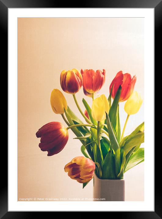 A Vase Of Spring Tulips Framed Mounted Print by Peter Greenway