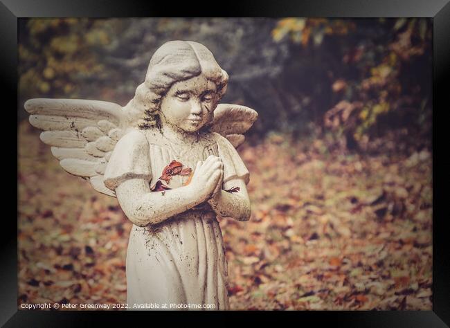 Graveside Angel at The Denson Landing Cemetery, Tennessee Framed Print by Peter Greenway