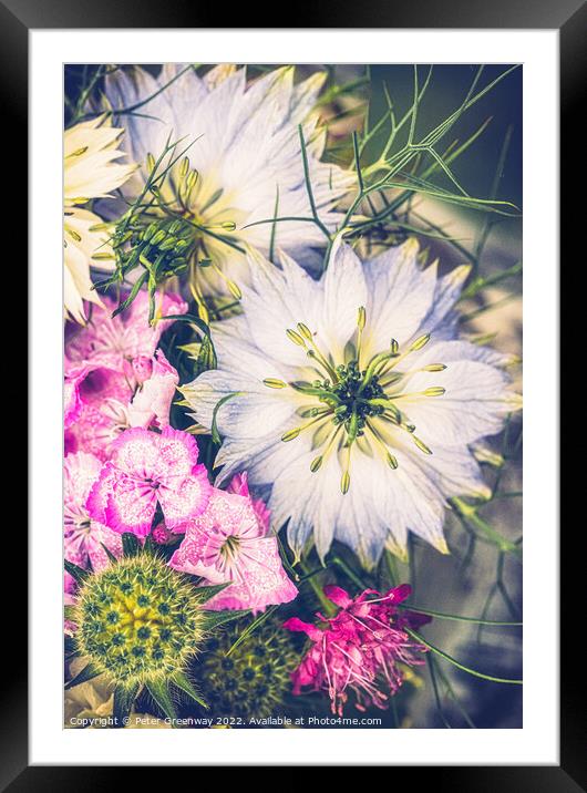 Floral Arrangement Featuring Love-In-A-Mist Flower Framed Mounted Print by Peter Greenway