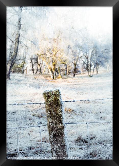 Frozen Moss Covered Fencing Post On The Roadside In The Scottish Framed Print by Peter Greenway
