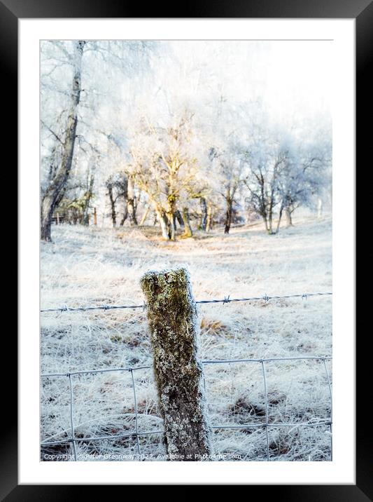 Frozen Moss Covered Fencing Post On The Roadside In The Scottish Framed Mounted Print by Peter Greenway