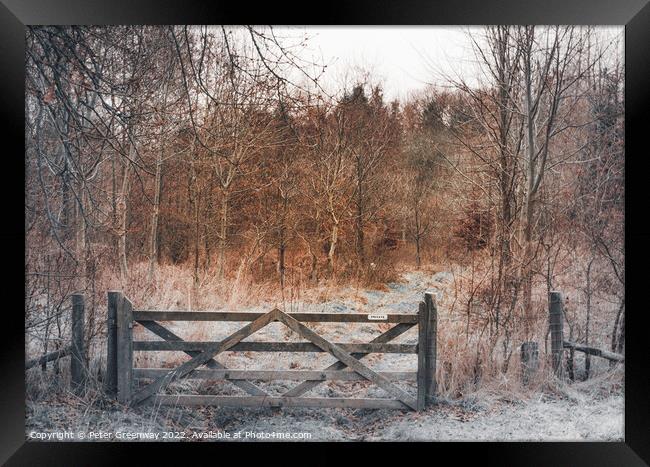 English Winter Woodland in the Frost with Wooden G Framed Print by Peter Greenway