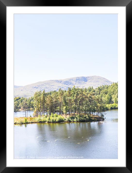Tarn Hows In The Lake District - Trees On An Islan Framed Mounted Print by Peter Greenway