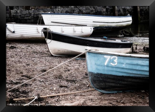 Boats Beached At Low Tide On Teignmouth 'Back Beach' In Devon Framed Print by Peter Greenway