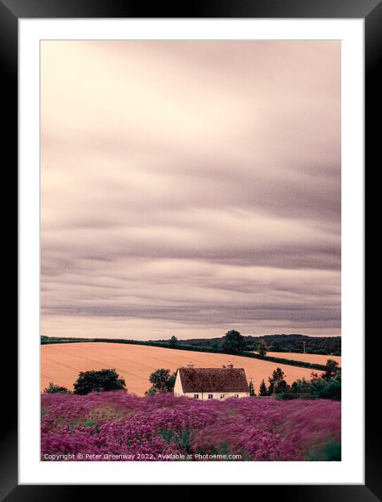 Cotswold Cottage At The Lavender Fields At Snowshill, Worcesters Framed Mounted Print by Peter Greenway