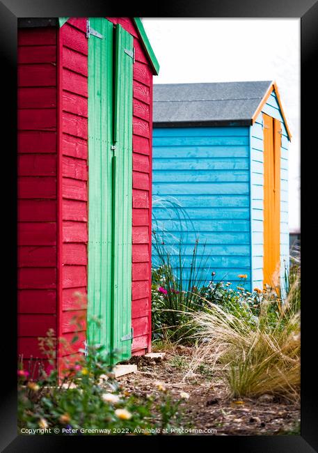 Brightly Coloured Wooden Allotment Sheds Framed Print by Peter Greenway