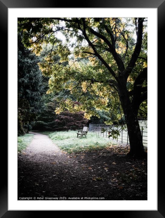 Wooden Bench Seat Amongst Autumnal Leaves On The Trees At Batsfo Framed Mounted Print by Peter Greenway
