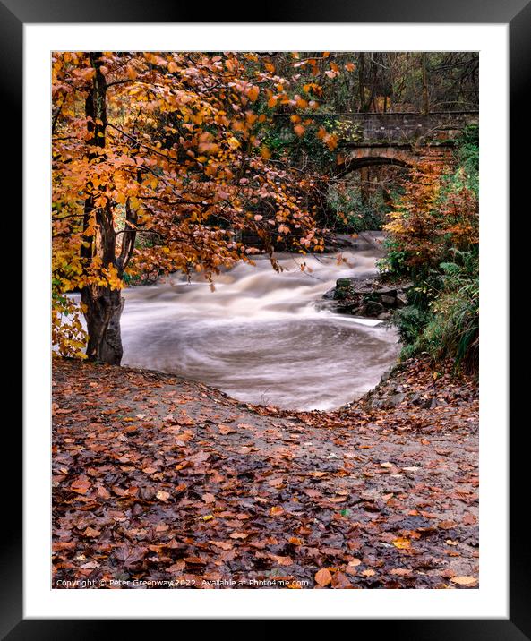 The May Beck River In The North Yorkshire Moor In Autumn Framed Mounted Print by Peter Greenway