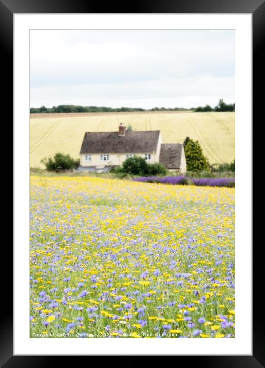 Field Of English Meadow Flowers In The Cotswolds A Framed Mounted Print by Peter Greenway