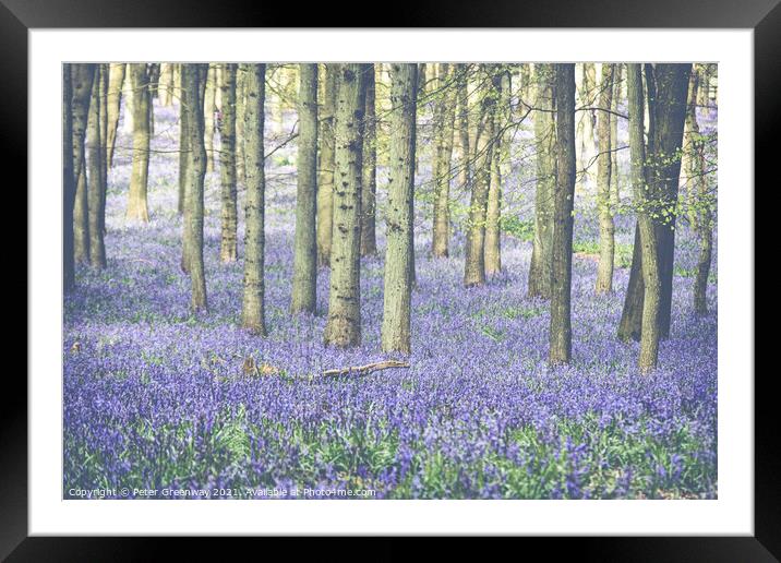 Carpet Of Bluebells At Dockey Wood On The Ashridge Framed Mounted Print by Peter Greenway