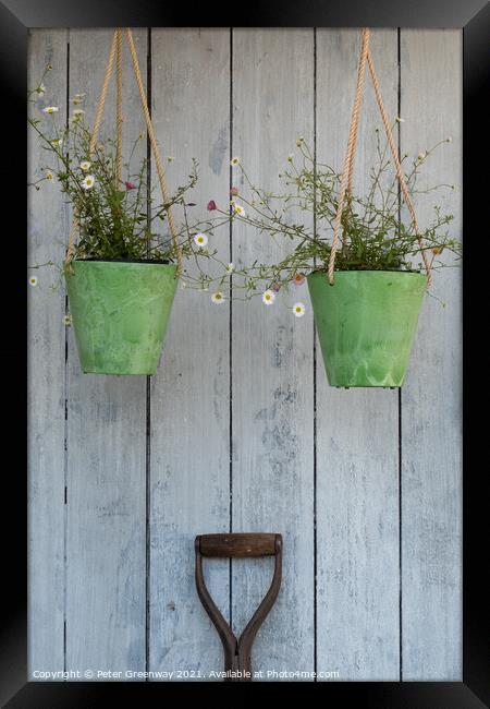Two Hanging Green Pots Of Daisies & A Spade Handle  Framed Print by Peter Greenway