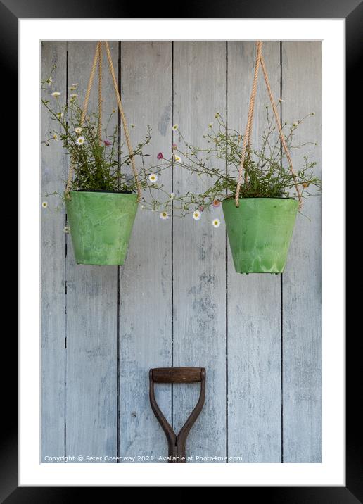 Two Hanging Green Pots Of Daisies & A Spade Handle  Framed Mounted Print by Peter Greenway