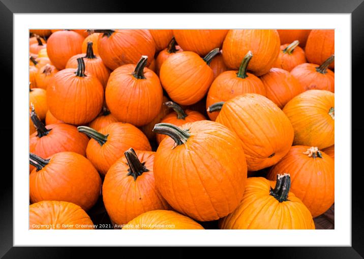 Piles Of Halloween Pumpkins In Tennessee Framed Mounted Print by Peter Greenway