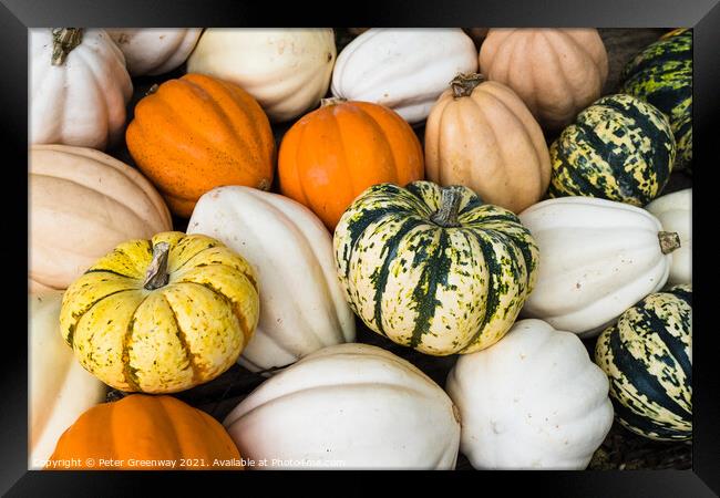 Colourful Gourds & Pumpkins On Sale In An Amish Store In Tennessee Framed Print by Peter Greenway