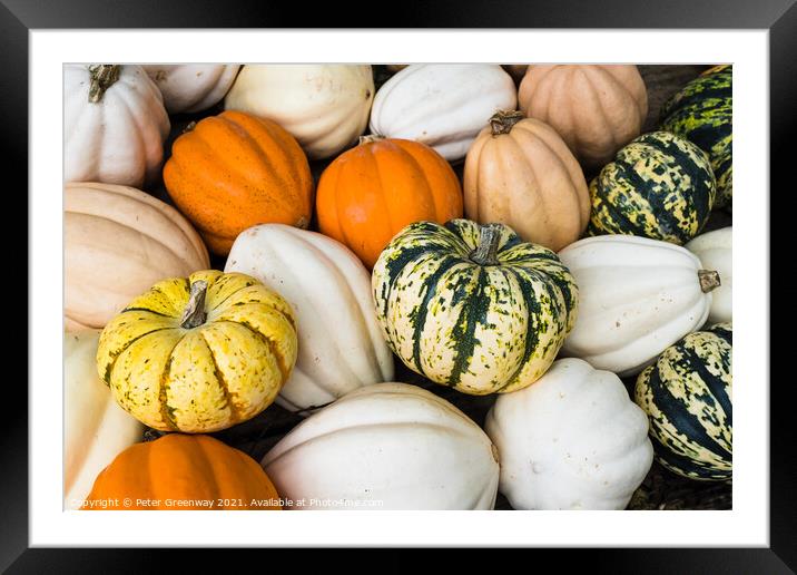 Colourful Gourds & Pumpkins On Sale In An Amish Store In Tennessee Framed Mounted Print by Peter Greenway